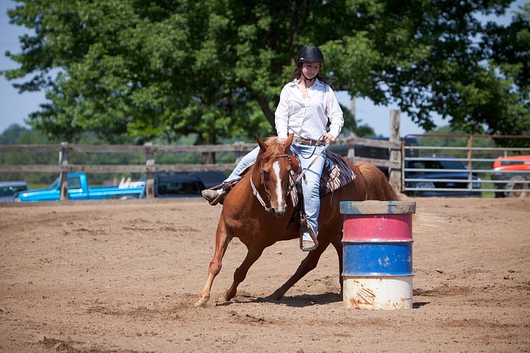 4H-Fun-Show-060912-352.JPG