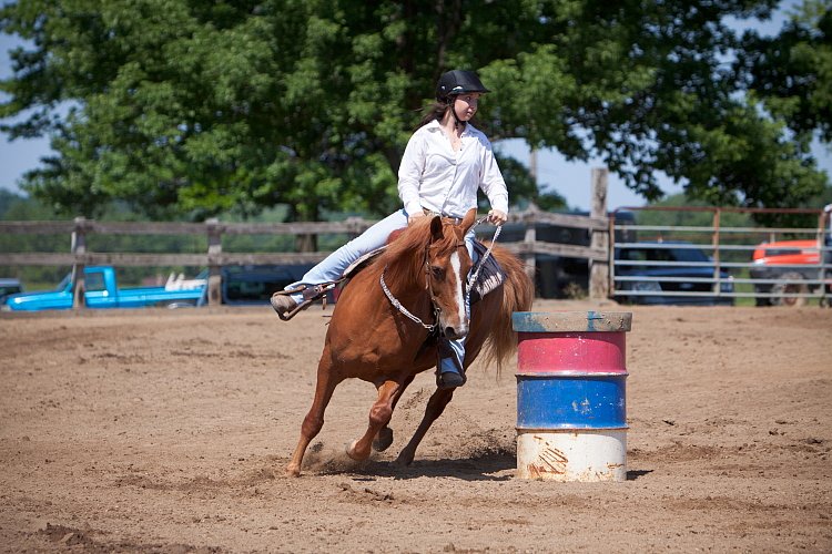 4H-Fun-Show-060912-353.JPG