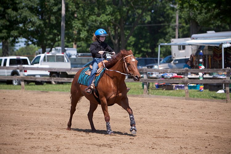 4H-Fun-Show-060912-404.JPG
