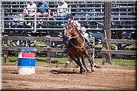 4H-Fun-Show-060912-340.JPG