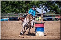 4H-Fun-Show-060912-358.JPG