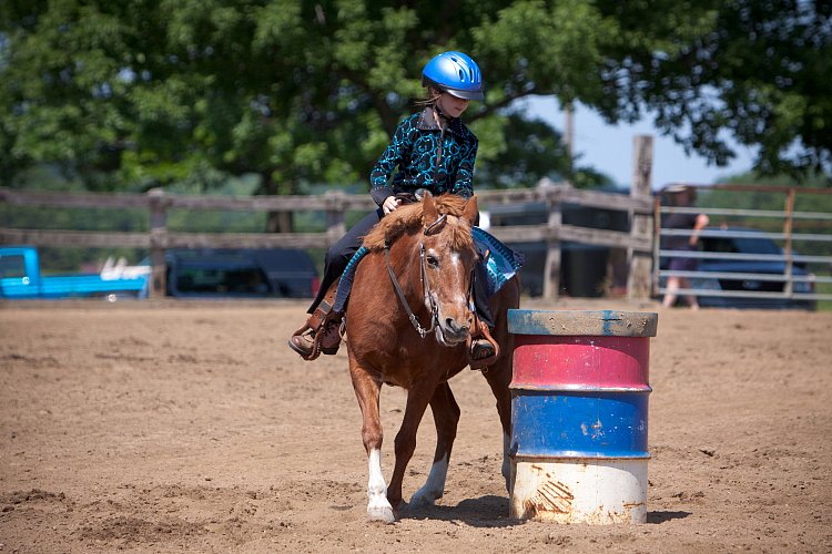 4H-Fun-Show-060912-423.JPG