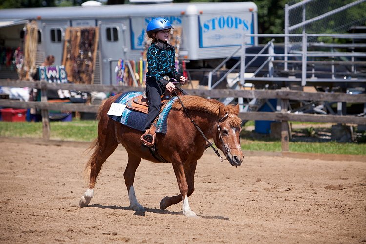 4H-Fun-Show-060912-428.JPG