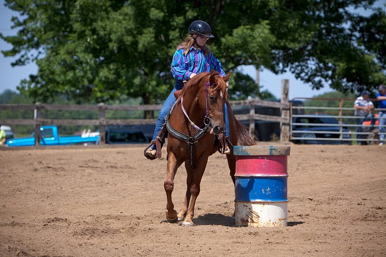 4H-Fun-Show-060912-431.JPG