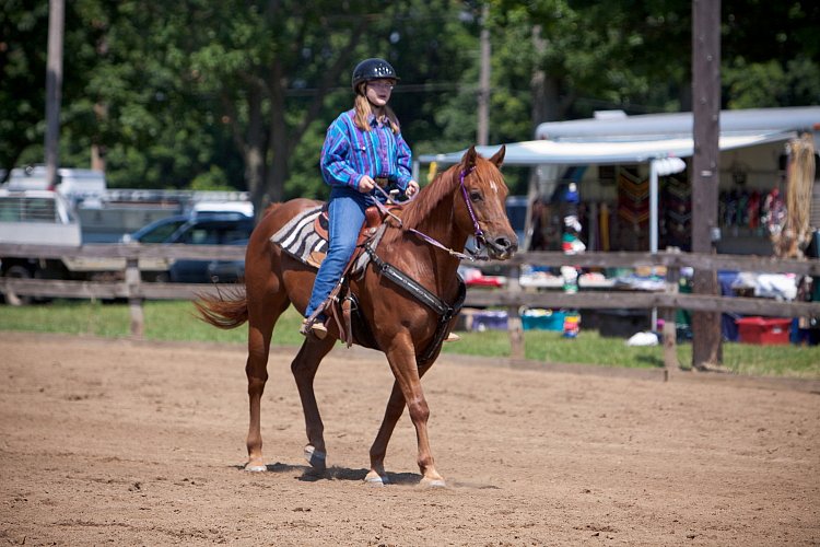 4H-Fun-Show-060912-433.JPG