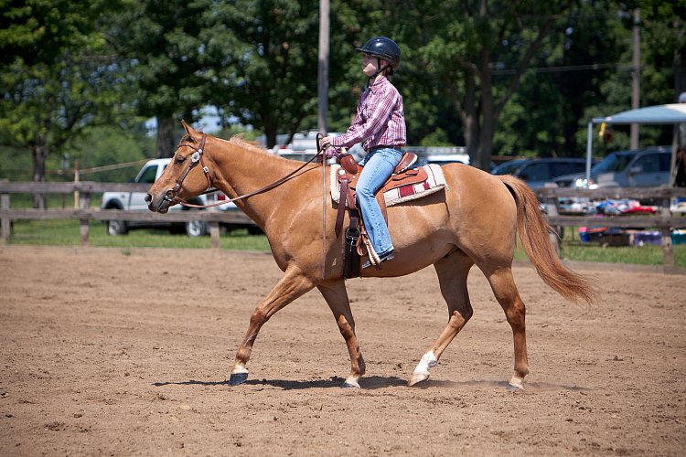 4H-Fun-Show-060912-435.JPG