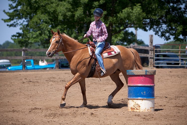 4H-Fun-Show-060912-436.JPG