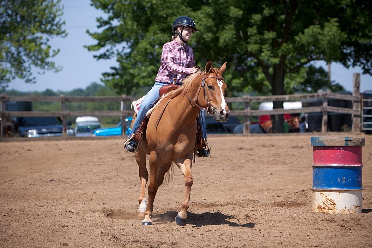 4H-Fun-Show-060912-437.JPG