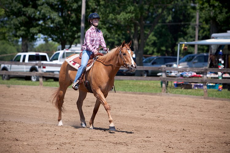 4H-Fun-Show-060912-440.JPG