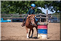 4H-Fun-Show-060912-423.JPG