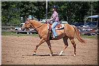 4H-Fun-Show-060912-435.JPG