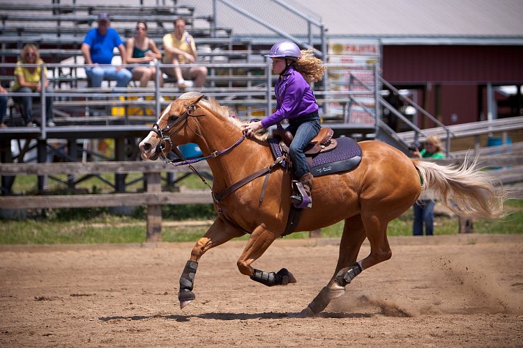 4H-Fun-Show-060912-547.JPG