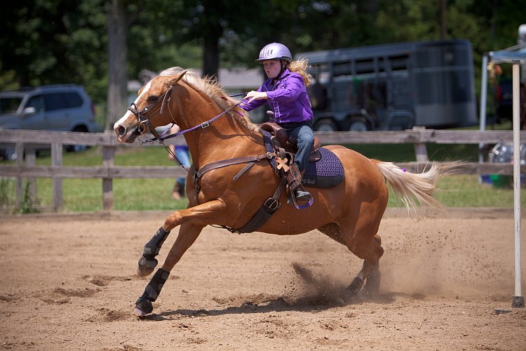 4H-Fun-Show-060912-550.JPG