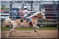 4H-Fun-Show-060912-546.JPG