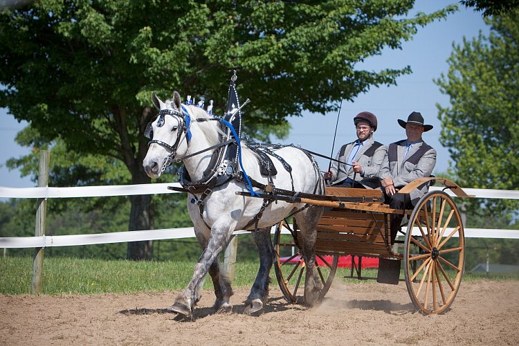 4H-Fun-Show-060912-227.JPG