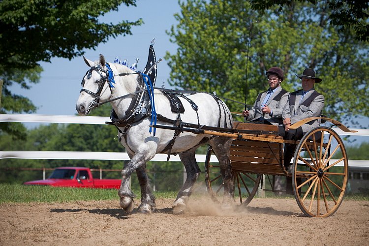 4H-Fun-Show-060912-230.JPG