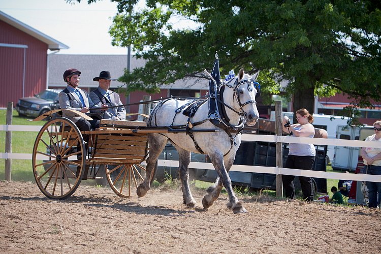 4H-Fun-Show-060912-234.JPG