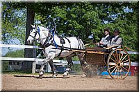 4H-Fun-Show-060912-225.JPG