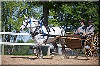 4H-Fun-Show-060912-229.JPG