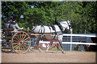 4H-Fun-Show-060912-232.JPG