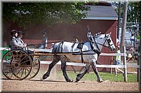 4H-Fun-Show-060912-233.JPG