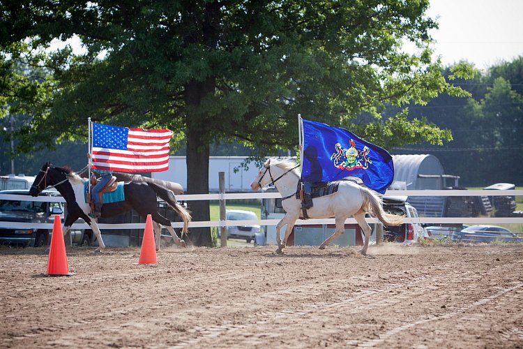 4H-Fun-Show-060912-014.JPG