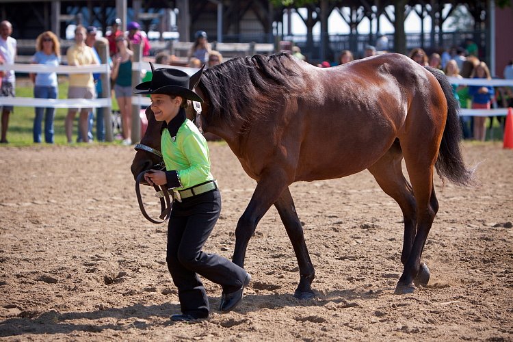 4H-Fun-Show-060912-101.JPG