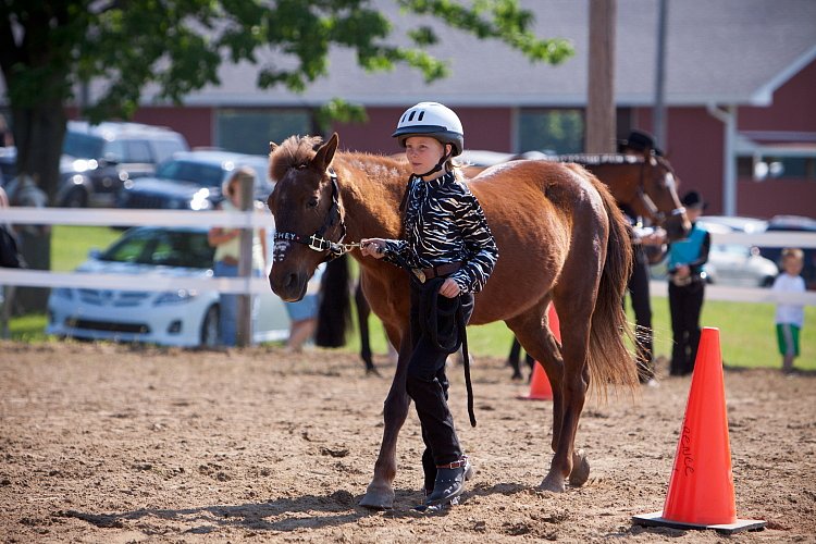 4H-Fun-Show-060912-106.JPG