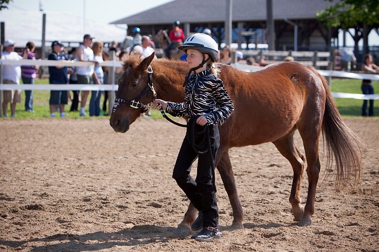 4H-Fun-Show-060912-107.JPG