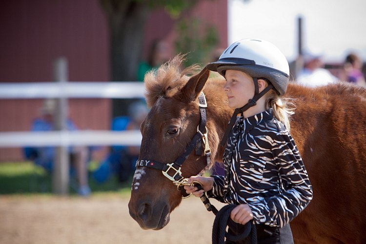 4H-Fun-Show-060912-108.JPG