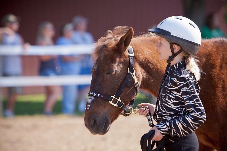 4H-Fun-Show-060912-109.JPG