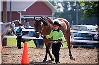 4H-Fun-Show-060912-099.JPG