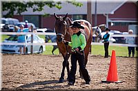 4H-Fun-Show-060912-100.JPG