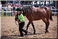 4H-Fun-Show-060912-101.JPG