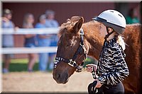 4H-Fun-Show-060912-109.JPG