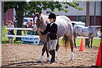 4H-Fun-Show-060912-122.JPG