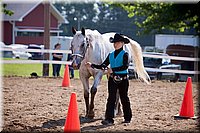 4H-Fun-Show-060912-166.JPG