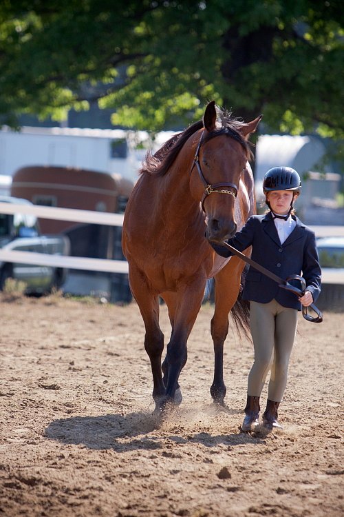 4H-Fun-Show-060912-174.JPG