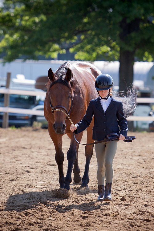 4H-Fun-Show-060912-175.JPG