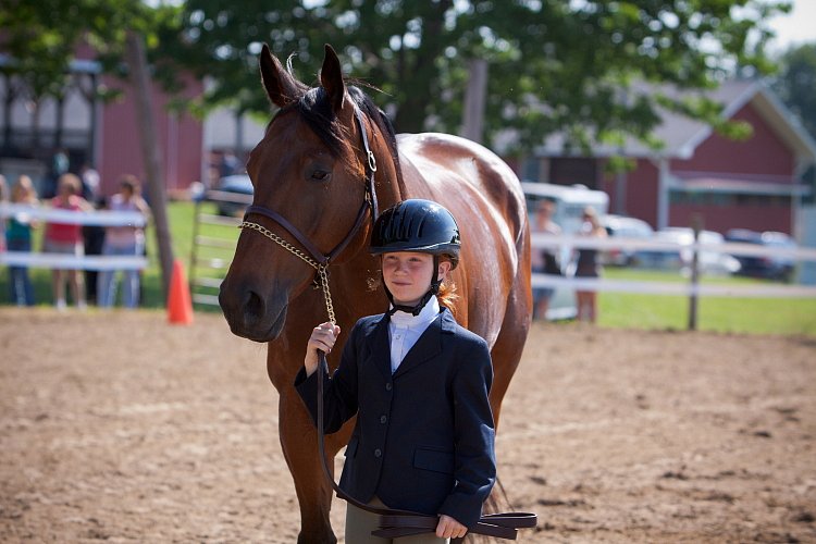 4H-Fun-Show-060912-176.JPG