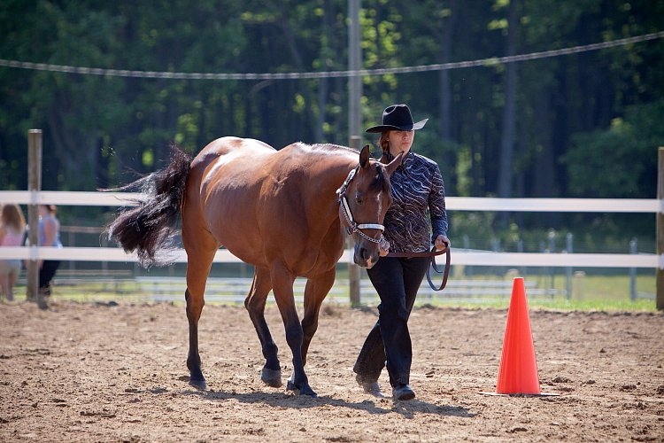 4H-Fun-Show-060912-177.JPG