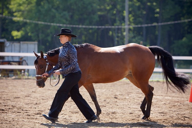 4H-Fun-Show-060912-178.JPG