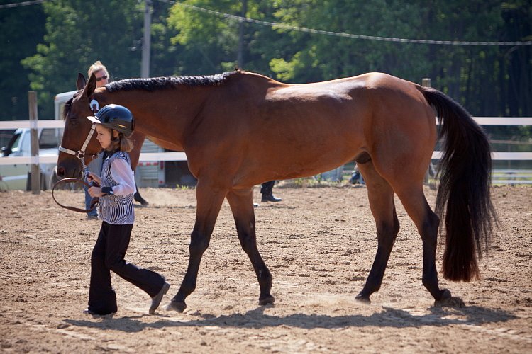 4H-Fun-Show-060912-184.JPG