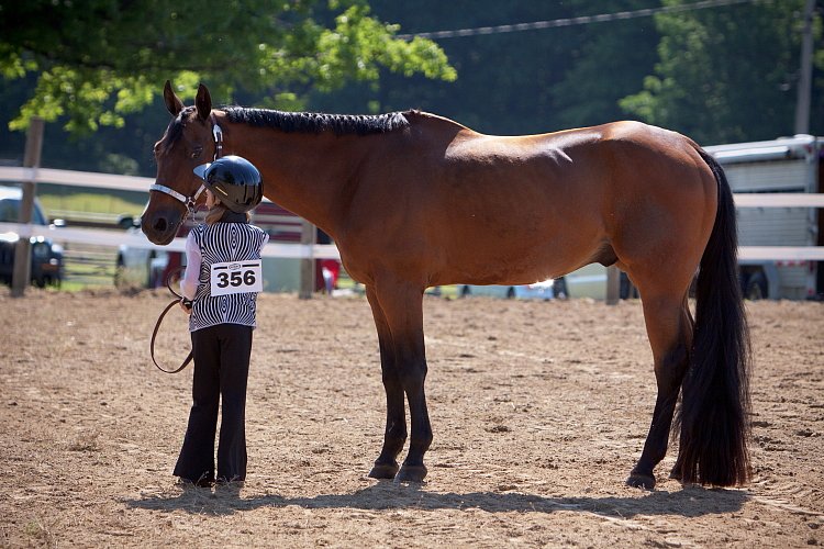 4H-Fun-Show-060912-185.JPG