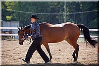 4H-Fun-Show-060912-178.JPG