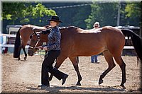 4H-Fun-Show-060912-179.JPG