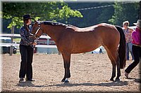 4H-Fun-Show-060912-180.JPG