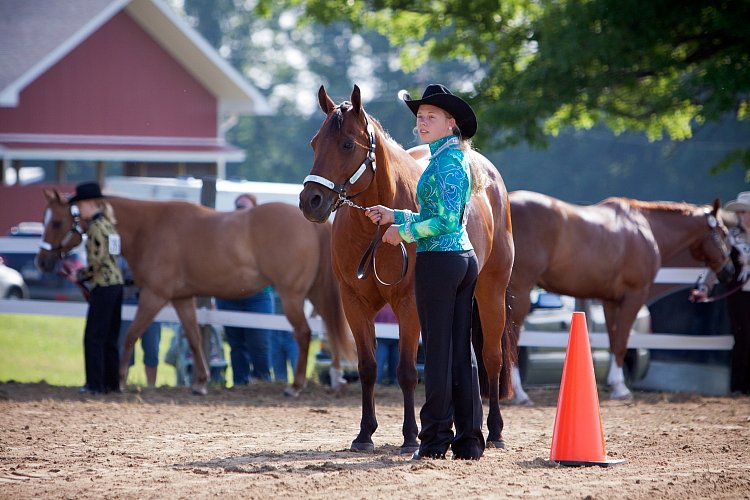 4H-Fun-Show-060912-025.JPG