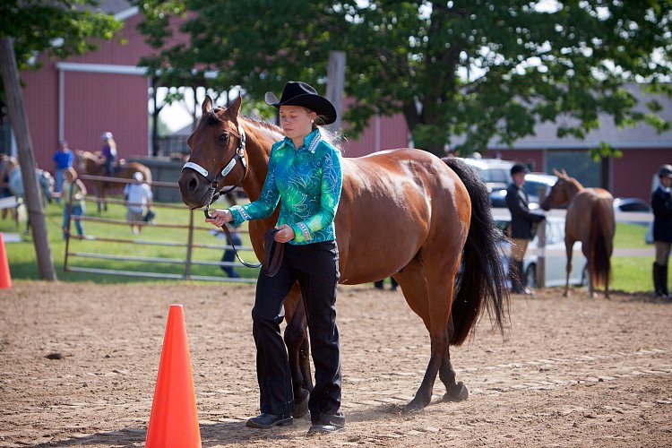 4H-Fun-Show-060912-027.JPG