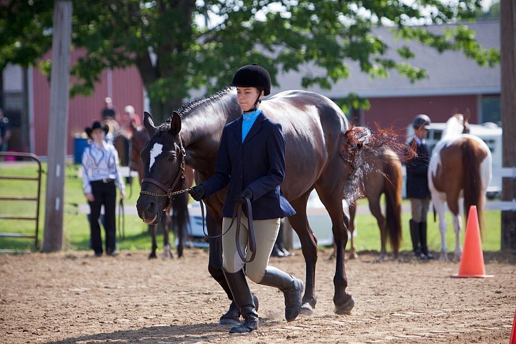 4H-Fun-Show-060912-033.JPG